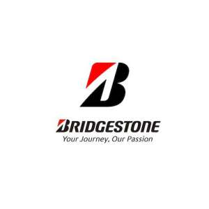 bespoke software development for Bridgestone