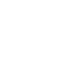 Cyberfort